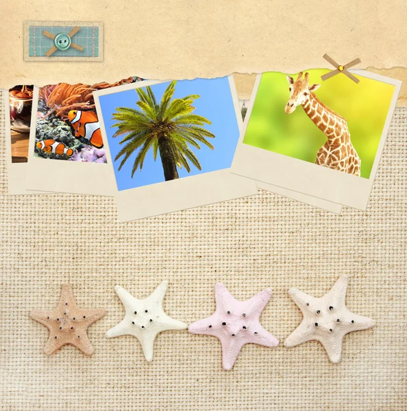 Old paper, travel photos and starfish — Stock Photo, Image