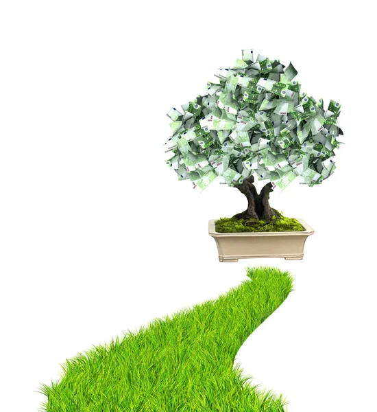 Pengar träd med eurosedlar och väg med grönt gräs — Stockfoto
