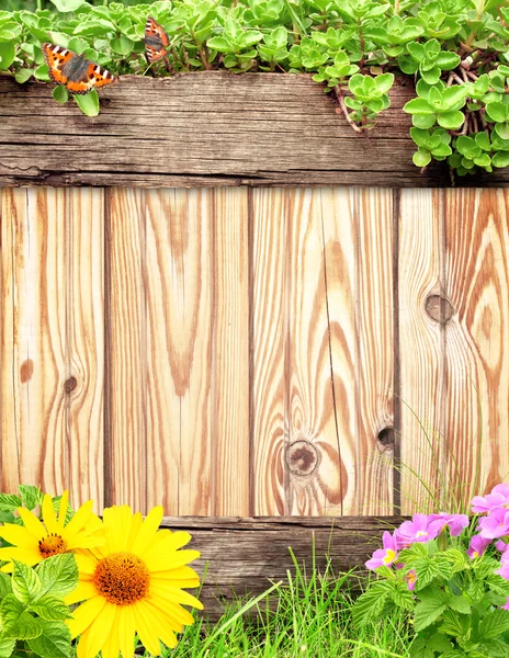 Sfondo estivo con tavola di legno, farfalla, erba e verde — Foto Stock