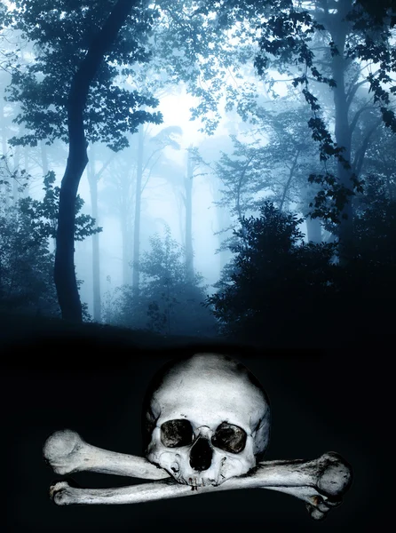 Crânio e ossos na floresta nebulosa escura — Fotografia de Stock
