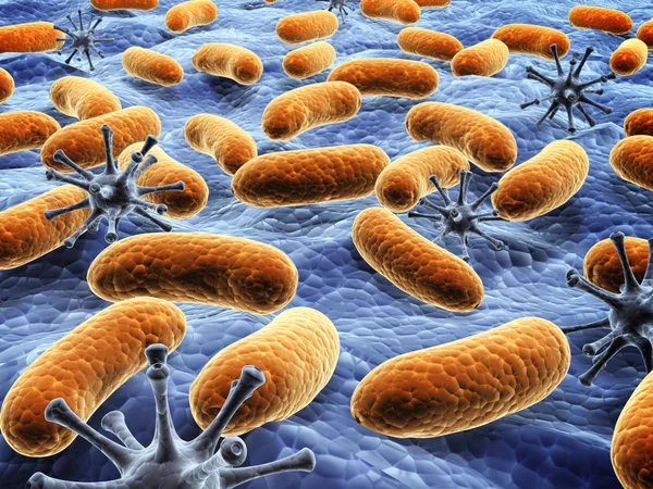 Diferentes bacterias patógenas en la superficie —  Fotos de Stock