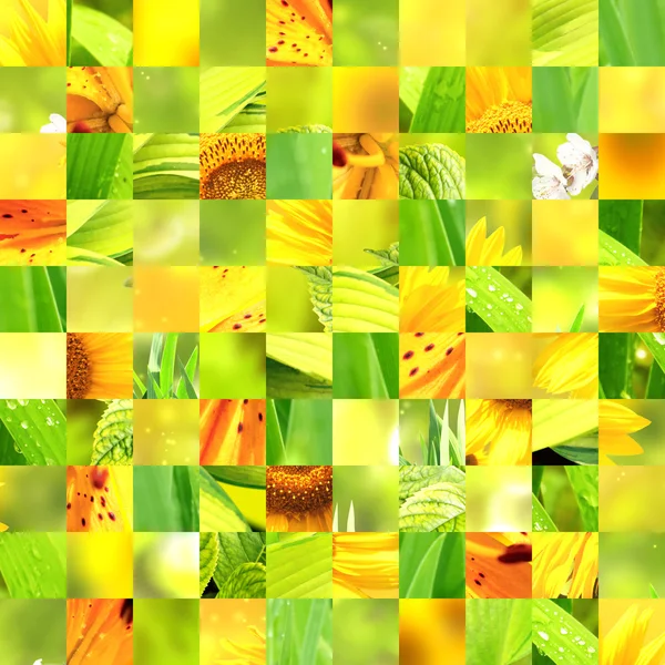 Seamless background with sunflower patterns — Stock Photo, Image
