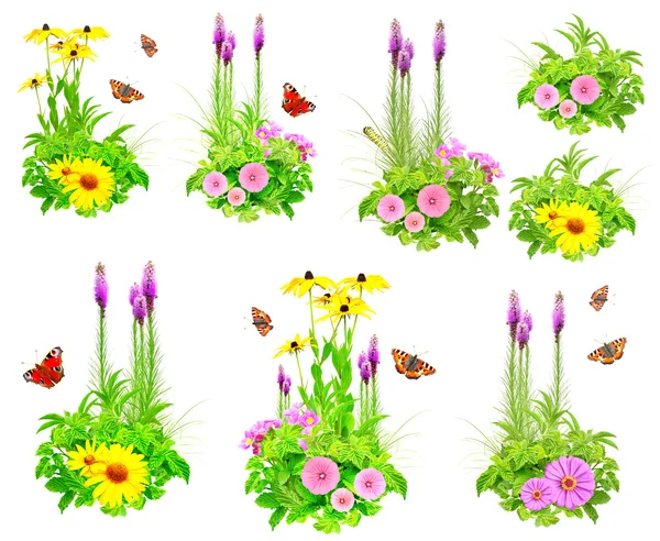 Conjunto de flores de verão, borboleta, lagarta e folhas verdes — Fotografia de Stock