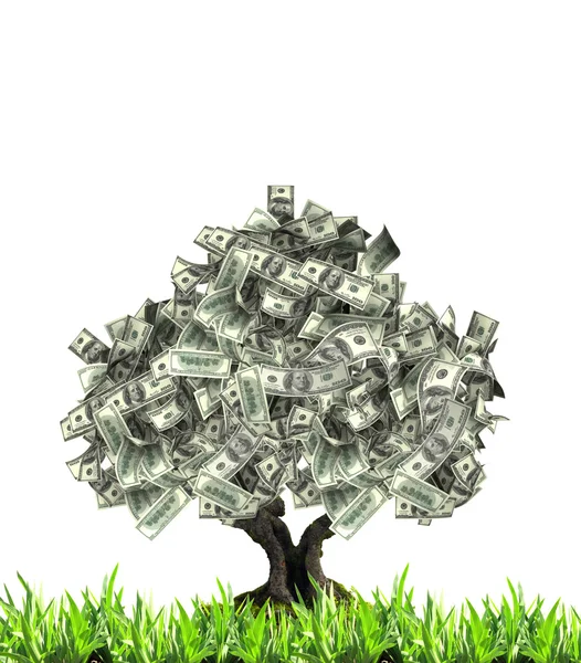 Pengar träd med dollar sedlar — Stockfoto