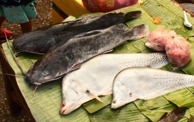 Taze yayın balığı palmiye yaprak balık pazarında Luang Prab yakalanan