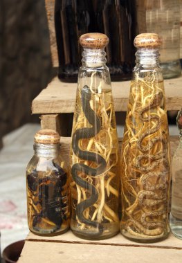 Bottles with alcohol with snakes and scorpions, Laos clipart