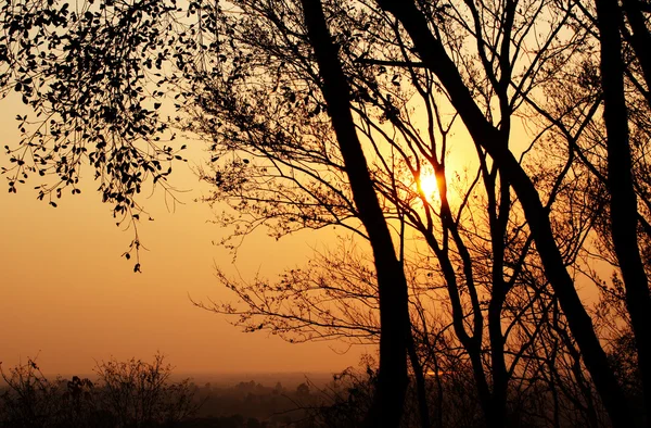 美丽的日落和野生的风景 — 图库照片