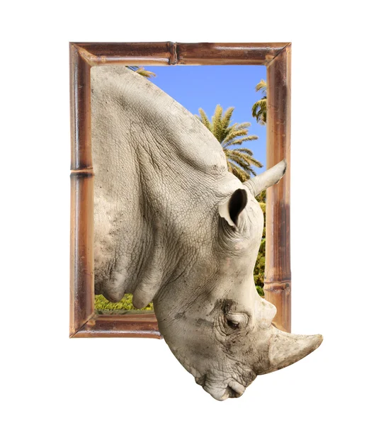 Rhinoceros in bamboo frame with 3d effect — Stock Photo, Image