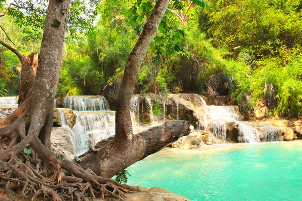 Tad Kuang Si vattenfall i skogen bredvid Luang Prabang, Laos — Stockfoto