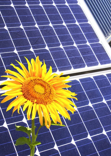 Solar cells and sunflower — Stock Photo, Image