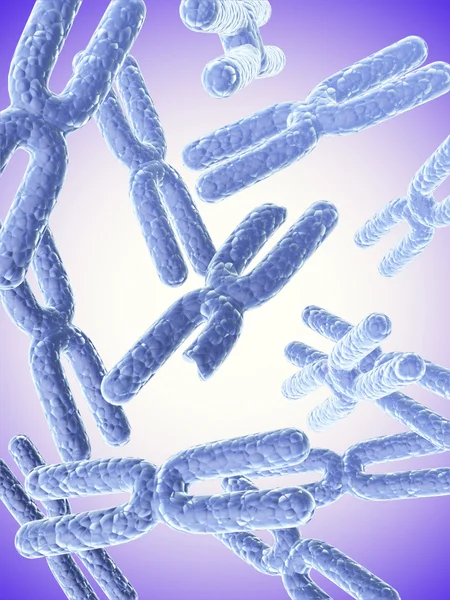 Trasiga X-kromosom och full X-kromosomer — Stockfoto