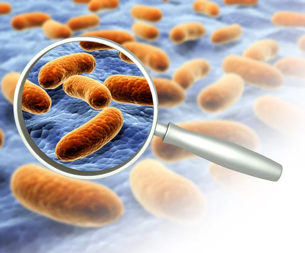 Lente d'ingrandimento e batteri patogeni — Foto Stock