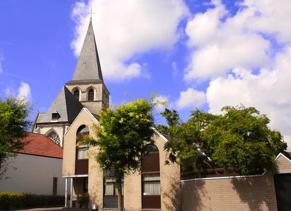 Catedral de Malinas, Bélgica —  Fotos de Stock