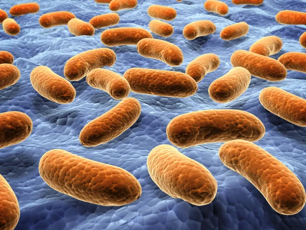 Bacterias patógenas en la superficie —  Fotos de Stock