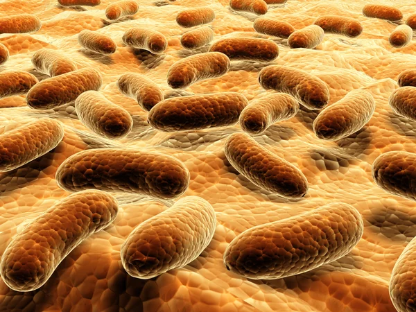 Sjukdomsalstrande bakterier på ytan — Stockfoto