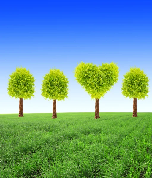 Heart shape tree on green field — Stock Photo, Image