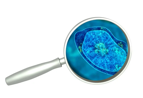 Magnifying glass and amoeba — Stock Photo, Image