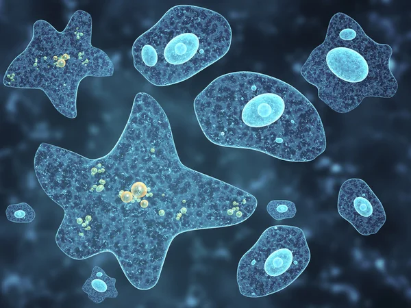 Different amoebas on black background — Stock Photo, Image