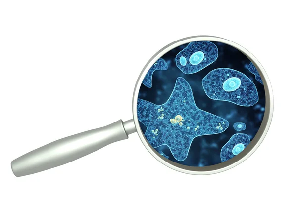 Magnifying glass and amoeba — Stock Photo, Image