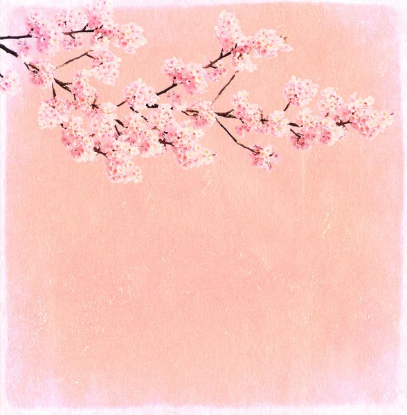 Retro Pozadí Texturou Starého Znečištěného Papíru Růžové Barvy Sakura Květiny — Stock fotografie