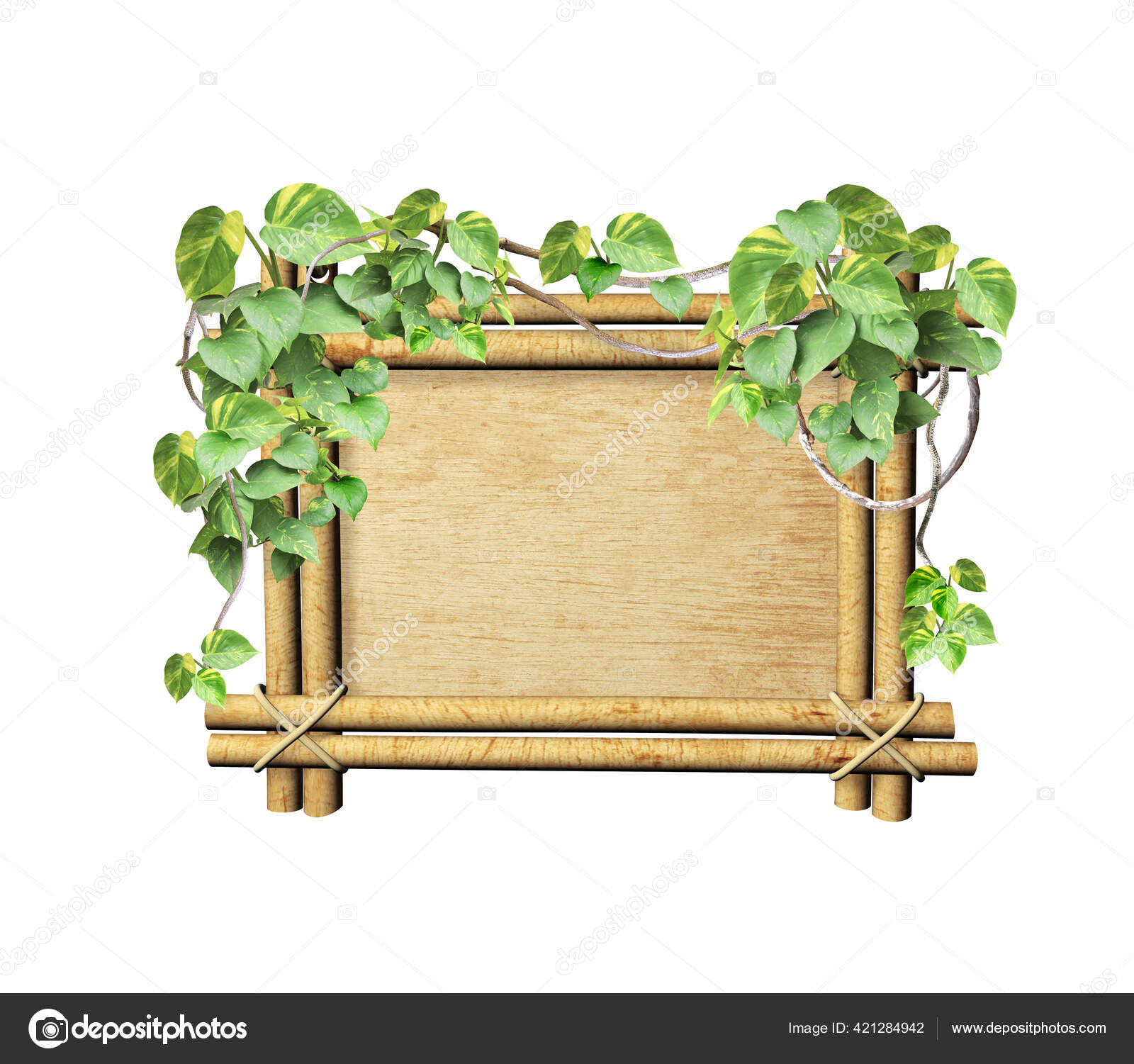 Винтажная Деревянная Рама Ветвями Лианы Тропическими Листьями.