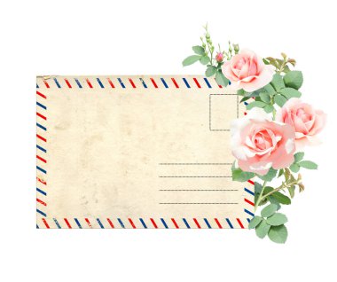 Üzerinde pembe çiçekli bir gül dalı olan retro kartpostal. Güllü eski bir kartpostal. Beyaz arka planda izole edilmiş. Şablon oluşturun. Metin için alanı kopyala