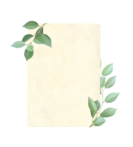 Retro Card Blank Paper Sheet Green Leaves Vintage Eco Template — Stock Photo, Image