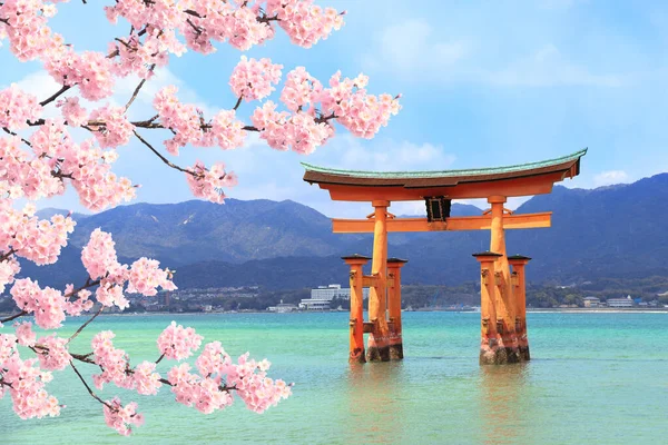 Puerta Torii Flotante Torii Rama Del Sakura Floreciente Con Flores — Foto de Stock