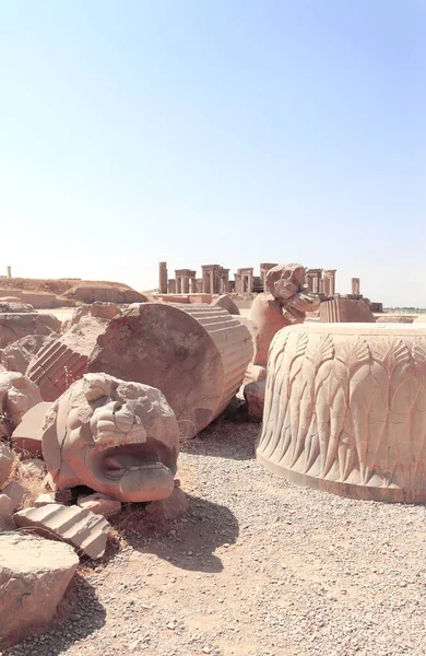 Ruinas Columnas Estatuas Leones Palacio Apadana Construido Por Darío Grande —  Fotos de Stock