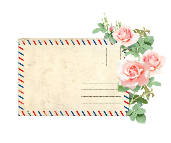 Cartão Postal Retrô Com Ramo Escalada Rosa Com Flores Cor — Fotografia de Stock