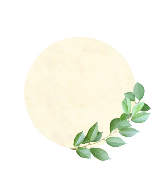 Cartão Retrô Com Ramo Cerejeira Com Folhas Verdes Modelo Ecológico — Fotografia de Stock