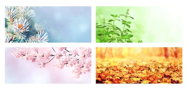 Vier Jahreszeiten Set Von Horizontalen Naturbannern Mit Winter Frühlings Sommer — Stockfoto