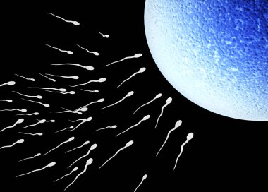 Spermatozoonlar, yumurtaya doğru yüzüyorlar. Yumurtanın spermle döllenme anı. Siyah arka planda izole edilmiş. 3d hazırlayıcı