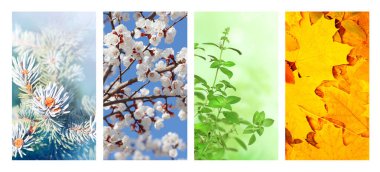 Yılın dört mevsimi. Kış, bahar, yaz ve sonbahar manzaralı dikey doğa afişleri. Metin için alanı kopyala