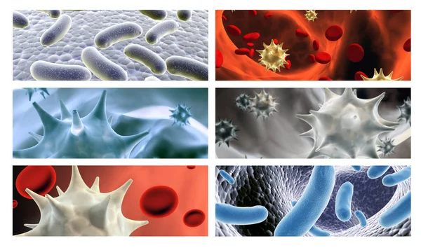 Сбор Горизонтальных Вертикальных Баннеров Патогенными Бактериями Вирусами Вирус Микроскопом Быстрое — стоковое фото