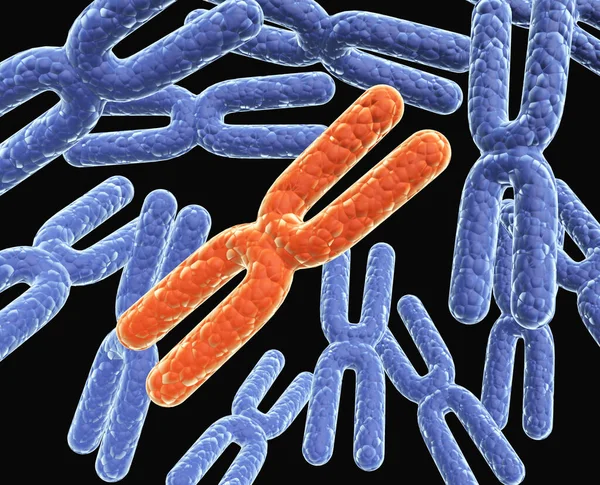 红色和蓝色的X染色体被黑色背景隔离 3D渲染 — 图库照片