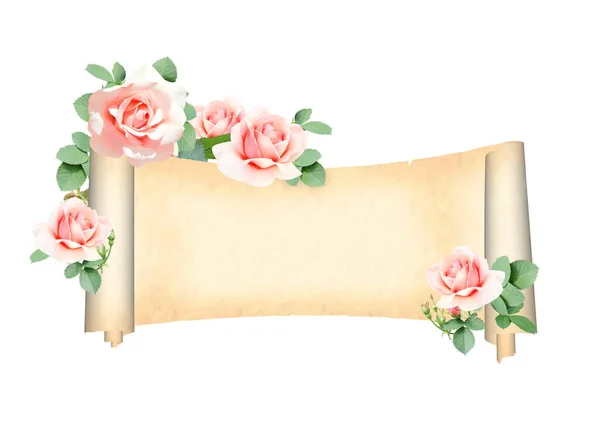 Горизонтальний Ретро Банер Гілкою Скелелазіння Троянди Червоними Квітами Середньовічним Сувоєм — стокове фото