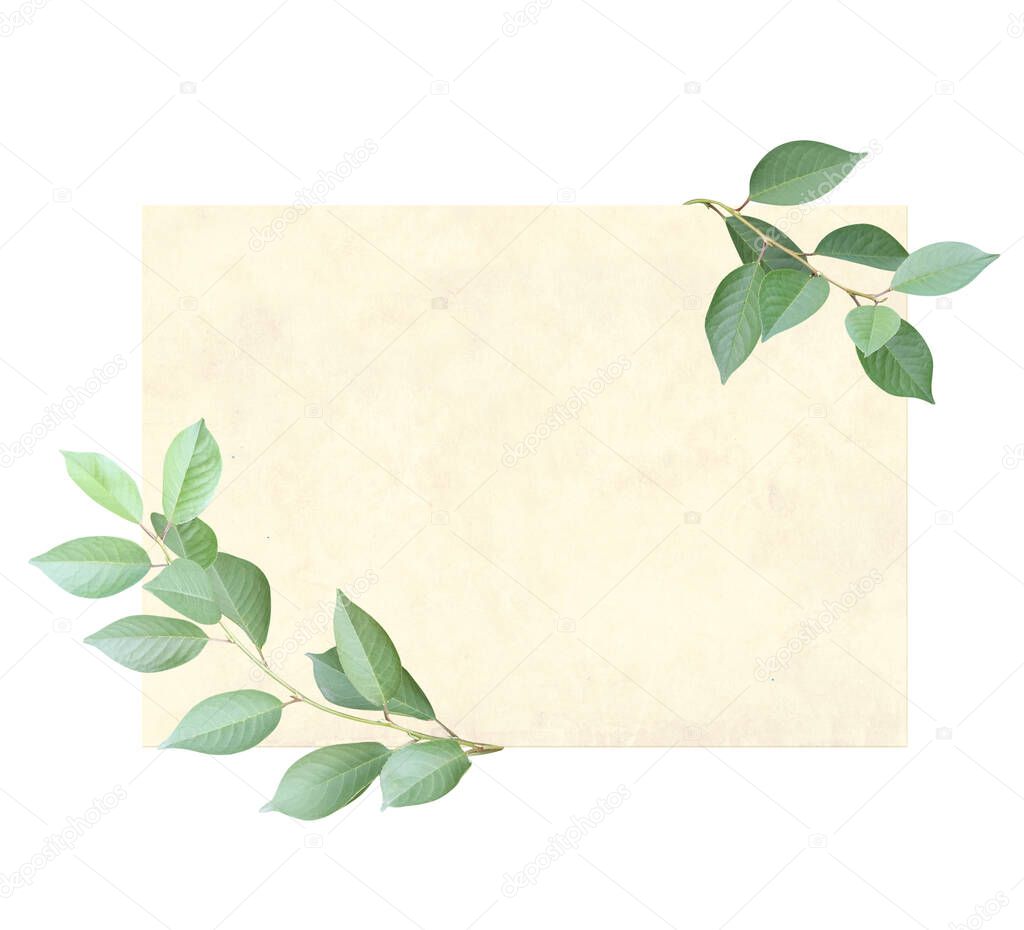 Retro card with blank paper sheet and green leaves. Vintage eco template. Copy space for text. Isolated on white background