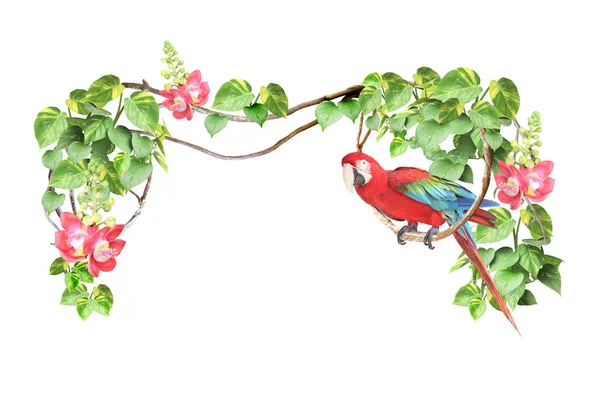 Papagaio Ara Senta Liane Entre Folhas Tropicais Flores Moldura Com — Fotografia de Stock
