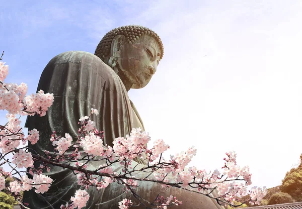 Grande Budda Fiori Sakura Tempio Kotoku Giappone Asia Stagione Della — Foto Stock