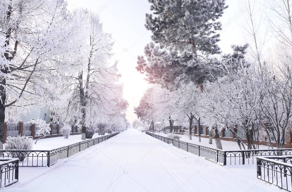 Evening winter landscape with a road and trees covered with snow, Russia. Road in a russian village in winter