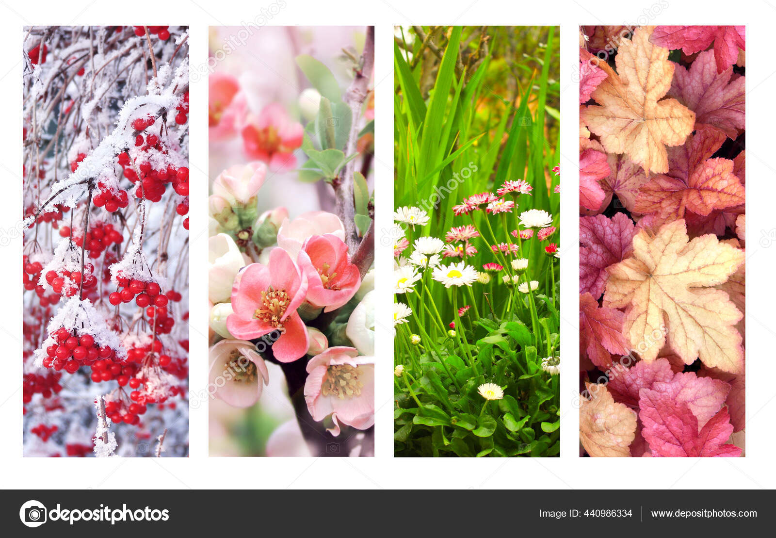 Four Seasons Year Set Vertical Nature Banners Winter Spring Summer ...