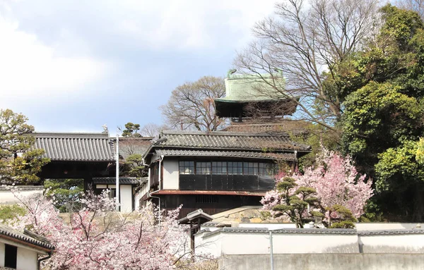 倉敷市美観地区にある中世の日本家屋や倉庫 桜の季節 — ストック写真