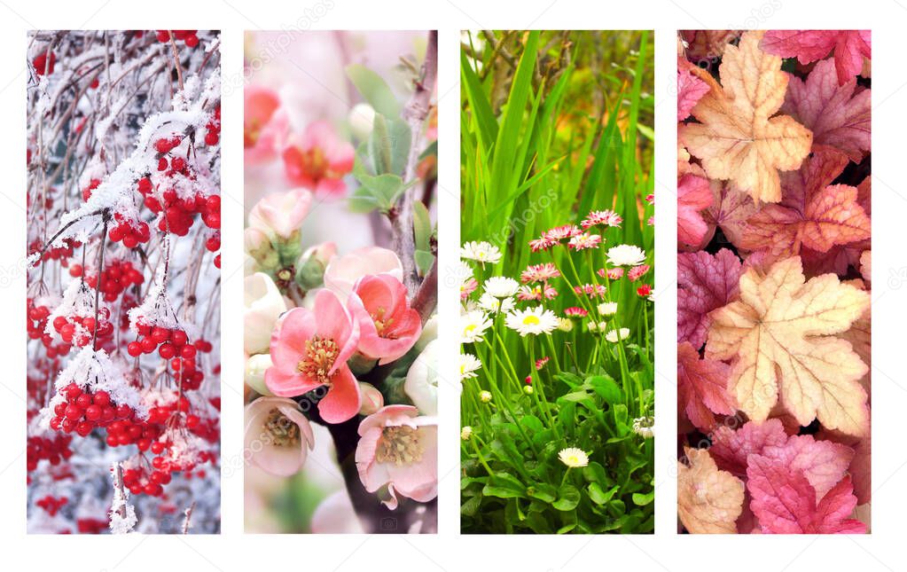 Four seasons of year. Set of vertical nature banners with winter, spring, summer and autumn scenes. Copy space for text