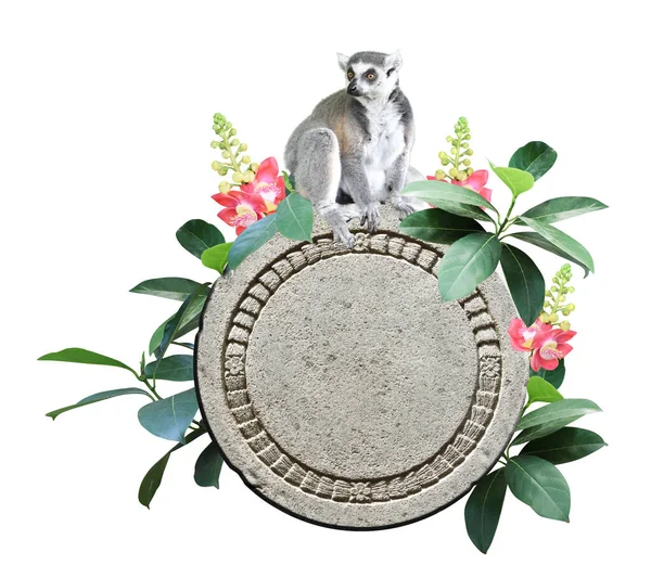 Lemur Okrągły Stary Kamień Kwiat Liście Tropikalnej Rośliny Kamienny Znak — Zdjęcie stockowe