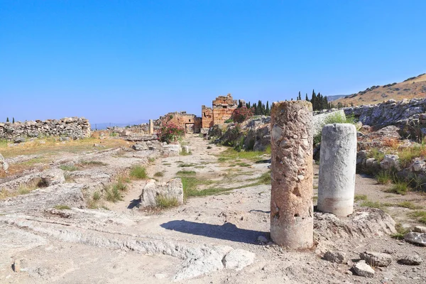 古代のヒエラポリス パムッカレ アナトリア トルコのフロンティヌス通りの寺院の列と遺跡 ユネスコの世界遺産 オレンジ色のブッシュに焦点を当てる — ストック写真