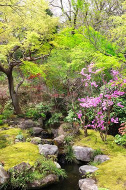 Hasedera (Hase-dera) tapınağındaki dekoratif bahçe, Kamakura, Japonya