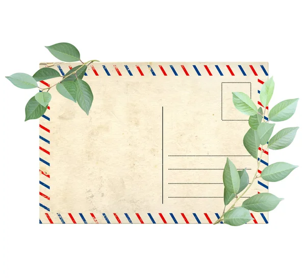 Cartão Postal Retrô Folhas Verdes Modelo Ecológico Vintage Copiar Espaço — Fotografia de Stock