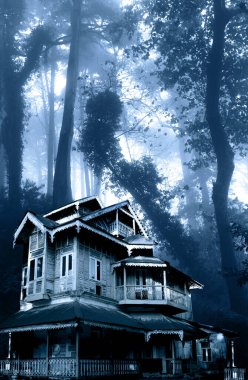 Haunted house. Old abandoned house in the night forest. Scary colonial cottage in mysterious forestland. Photo toned in blue color. Copy space for text clipart