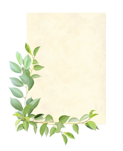 Függőleges Retro Kártya Cseresznyefa Ággal Zöld Levelekkel Vintage Öko Sablon — Stock Fotó